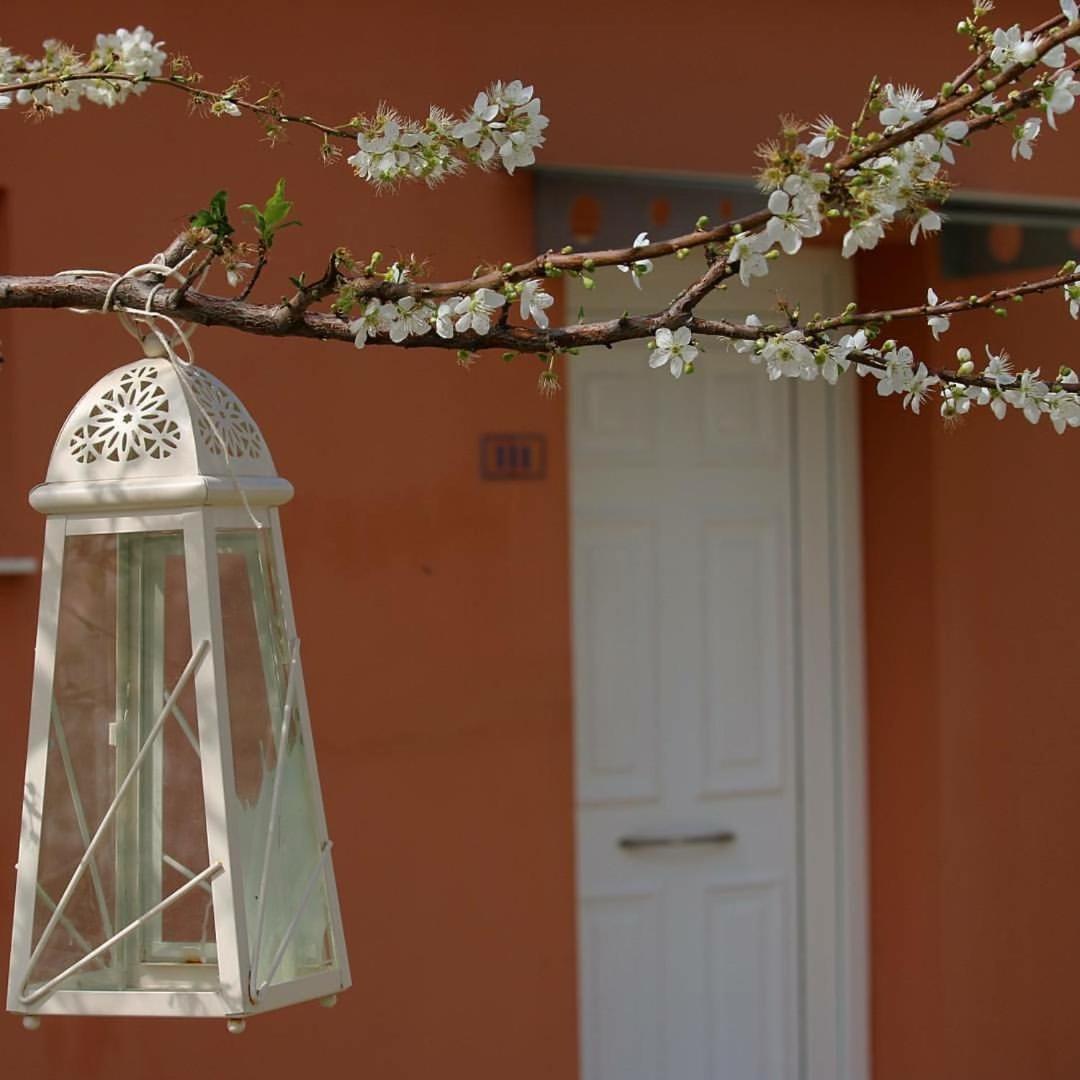 Thalassa Hotel & Spa Paleros Dış mekan fotoğraf