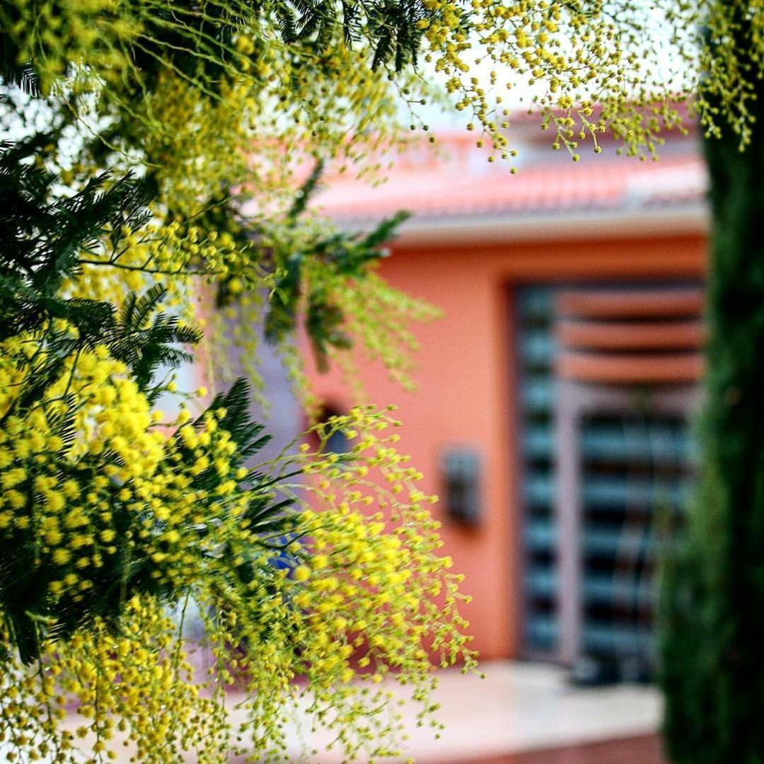 Thalassa Hotel & Spa Paleros Dış mekan fotoğraf